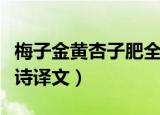 梅子金黄杏子肥全诗（古诗梅子金黄杏子肥全诗译文）