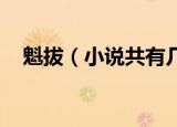 魁拔（小说共有几本 魁拔小说故事简介）