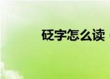 砭字怎么读（砭字是多音字吗）