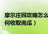 摩尔庄园攻略怎么收取南瓜（摩尔庄园攻略如何收取南瓜）