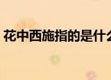 花中西施指的是什么花（花中西施是哪种花）