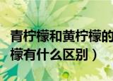青柠檬和黄柠檬的区别是什么（青柠檬和黄柠檬有什么区别）
