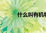 什么叫有机物（有机物的介绍）