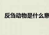 反刍动物是什么意思（反刍动物如何解释）