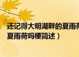 还记得大明湖畔的夏雨荷吗是什么梗吗（还记得大明湖畔的夏雨荷吗梗简述）