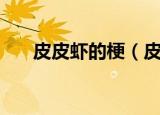 皮皮虾的梗（皮皮虾的梗是什么意思）