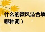 什么的微风适合填哪种词（什么的微风适合填哪种词）