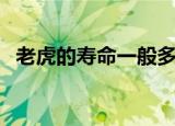 老虎的寿命一般多少年（老虎的寿命介绍）