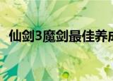 仙剑3魔剑最佳养成顺序（仙剑3魔剑养成）