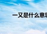 一又是什么意思（一又是何种意思）