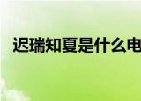 迟瑞知夏是什么电视剧（该剧讲述了什么）