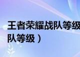 王者荣耀战队等级是什么（什么是王者荣耀战队等级）