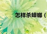 怎样杀蟑螂（杀蟑螂的多种方法）