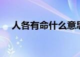 人各有命什么意思（人各有命怎么理解）