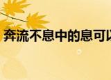 奔流不息中的息可以解释为什么（息的含义）