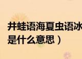 井蛙语海夏虫语冰的意思（井蛙语海夏虫语冰是什么意思）