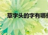 草字头的字有哪些（哪些字带有草字头）