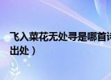 飞入菜花无处寻是哪首诗的上一句是什么（飞入菜花无处寻出处）