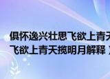 俱怀逸兴壮思飞欲上青天揽明月是什么意思（俱怀逸兴壮思飞欲上青天揽明月解释）
