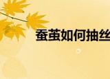 蚕茧如何抽丝（蚕茧的抽丝方法）
