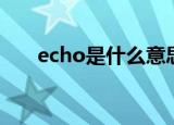 echo是什么意思中文（echo的解释）
