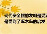 现代安全帽的发明是受到了什么动物的启发（安全帽的发明是受到了啄木鸟的启发）