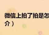 微信上拍了拍是怎么来的（关于微信拍一拍简介）