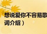 想说爱你不容易歌词（想说爱你不容易完整歌词介绍）