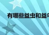有哪些益虫和益鸟（益虫和益鸟的介绍）