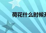 荷花什么时候开放（荷花开放时间）