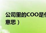 公司里的COO是什么（公司里的COO是什么意思）