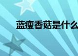 蓝瘦香菇是什么意思（蓝瘦香菇含义）
