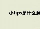 小tips是什么意思（小tips解释含义）