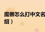 魔兽怎么打中文名字（魔兽打中文名字方法介绍）