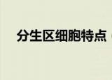 分生区细胞特点（分生区细胞特点介绍）
