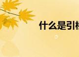 什么是引桥（引桥的含义）
