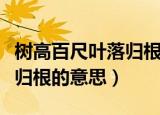 树高百尺叶落归根是什么意思（树高百尺叶落归根的意思）