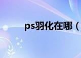 ps羽化在哪（PS的羽化工具在哪）