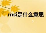 msi是什么意思（msi到底是什么意思）