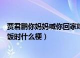 贾君鹏你妈妈喊你回家吃饭意思（贾君鹏你妈妈喊你回家吃饭时什么梗）