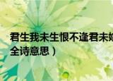君生我未生恨不逢君未嫁时这句诗什么意思（君生我未生的全诗意思）