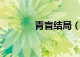 青盲结局（青盲结局是什么）