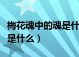 梅花魂中的魂是什么意思（梅花魂中的魂意思是什么）