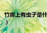 竹席上有虫子是什么虫（竹席上的虫子是什么）