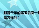 都是千年的狐狸后面一句是什么（都是千年的狐狸后面一句是怎样的）