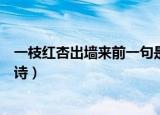 一枝红杏出墙来前一句是什么（一枝红杏出墙来的前一句古诗）