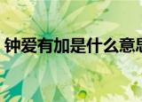钟爱有加是什么意思（钟爱有加意思是什么）