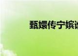 甄嬛传宁嫔谁演的（宁嫔介绍）