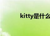 kitty是什么意思（kitty解释）