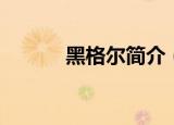 黑格尔简介（黑格尔内容介绍）